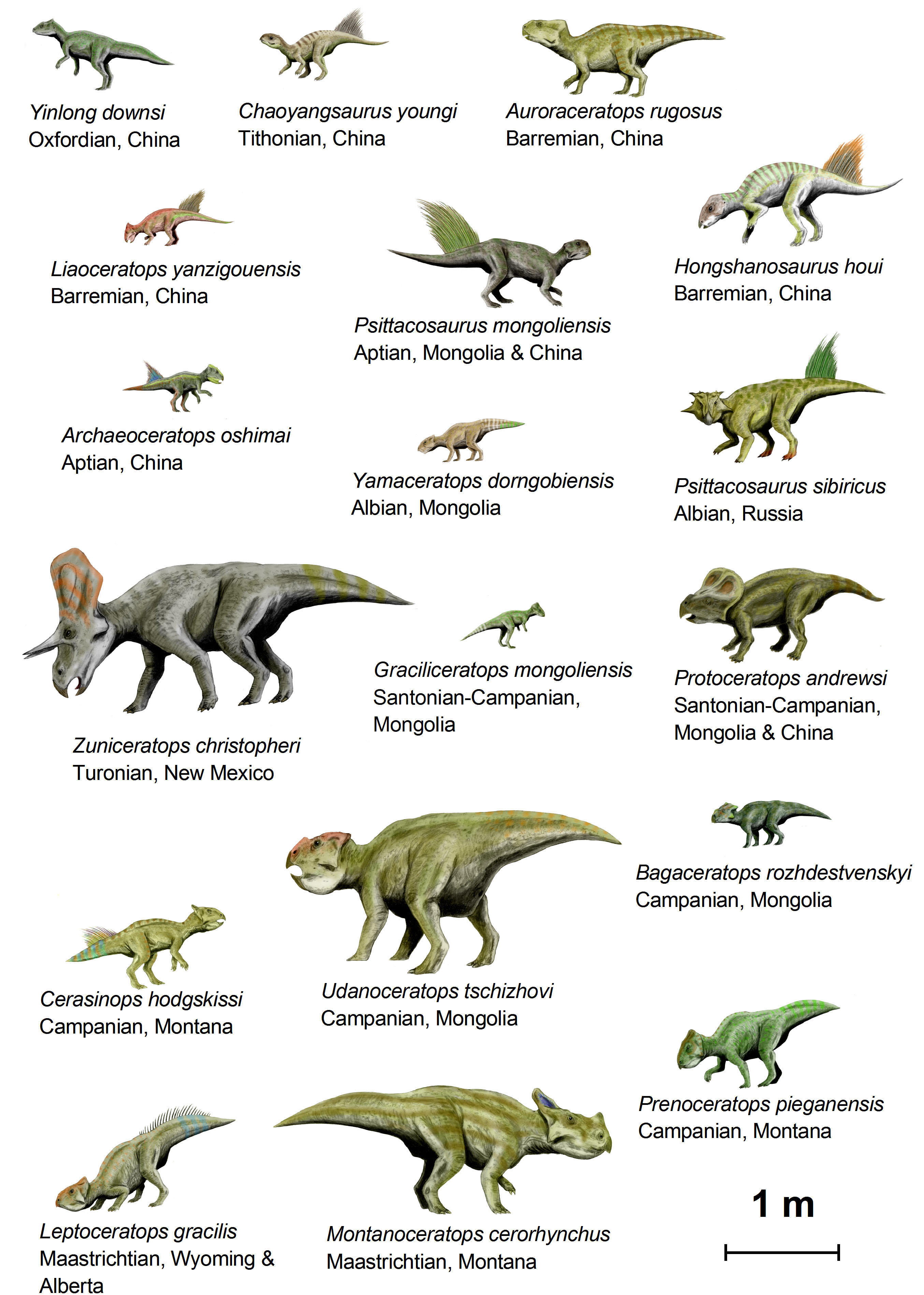 dinosaurios Imagen dinosaurios