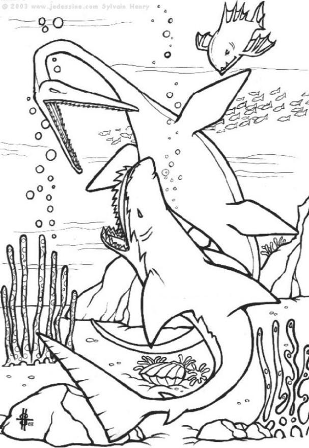 Dibujo para colorear dinosaurios bajo el agua