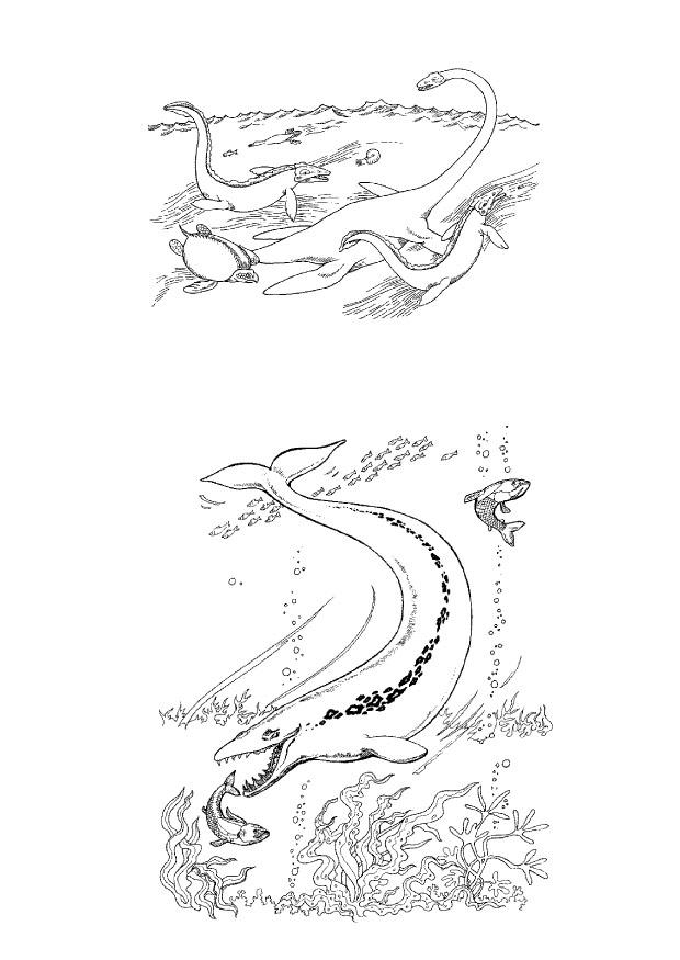 dinosaurios marinos Dibujo para colorear dinosaurios marinos