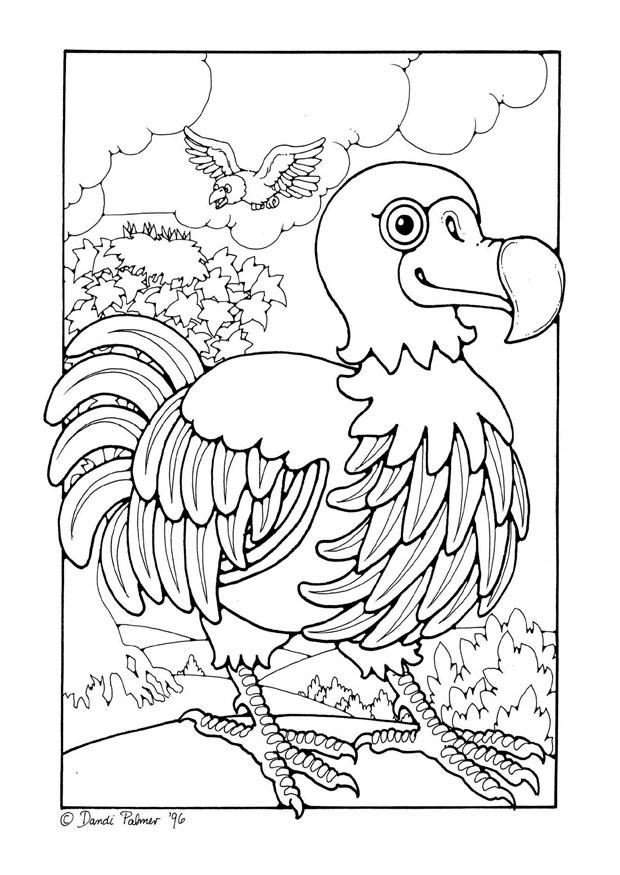 dodo Dibujo para colorear dodo