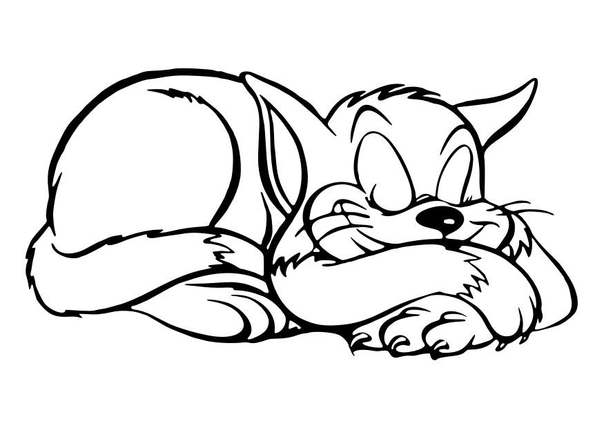 dormir - gato Dibujo para colorear dormir - gato