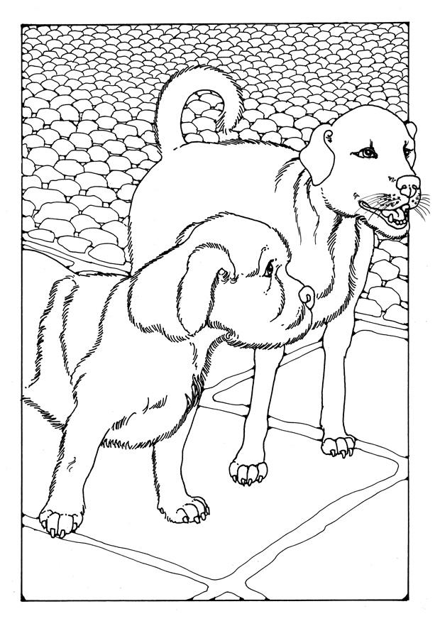 dos perros Dibujo para colorear dos perros