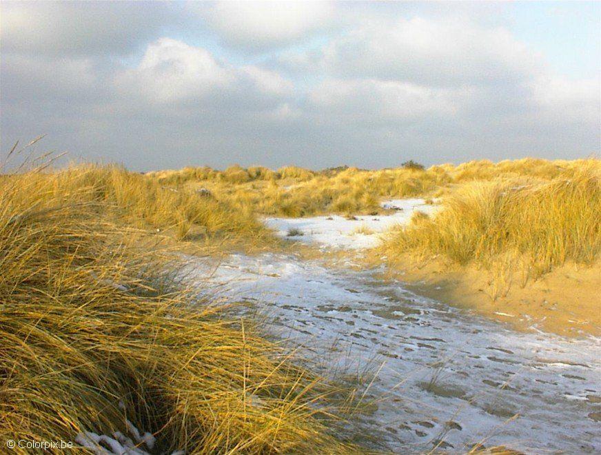 dunas Foto dunas