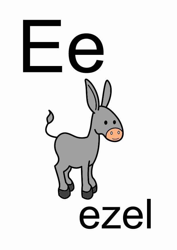 e Imagen e