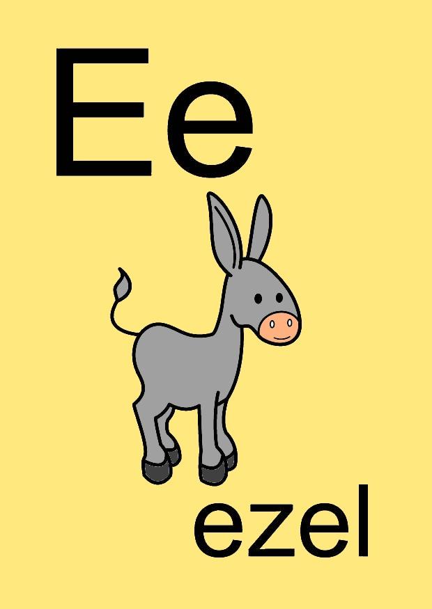e Imagen e