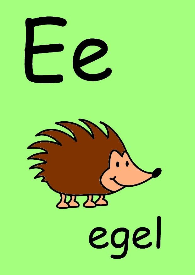 e Imagen e