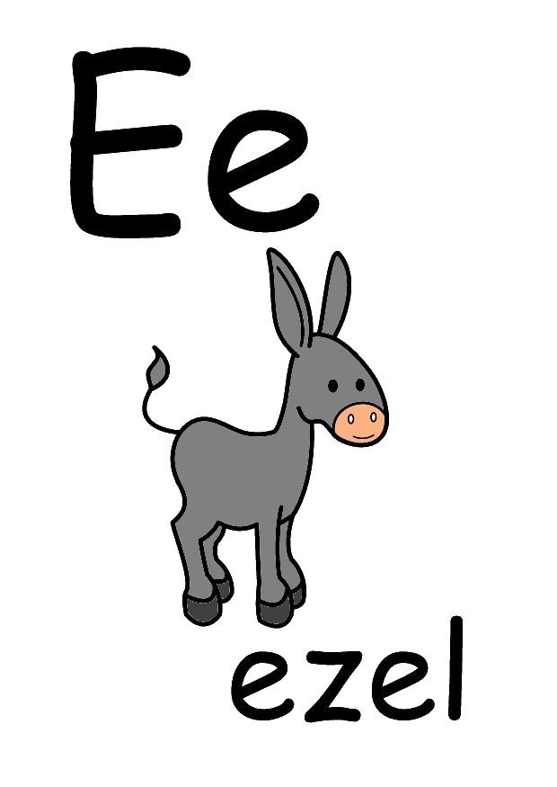 e Imagen e