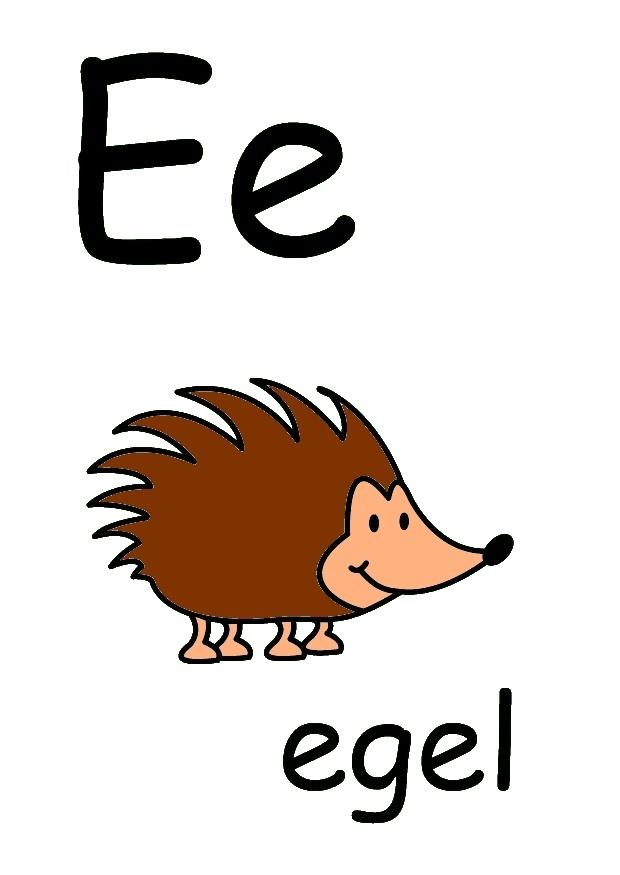 e Imagen e