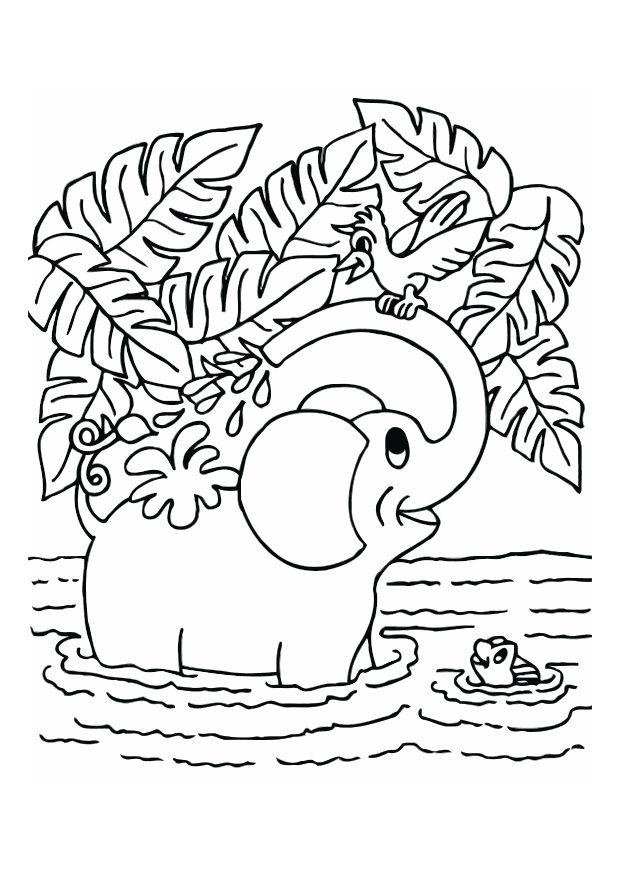 elefante Dibujo para colorear elefante