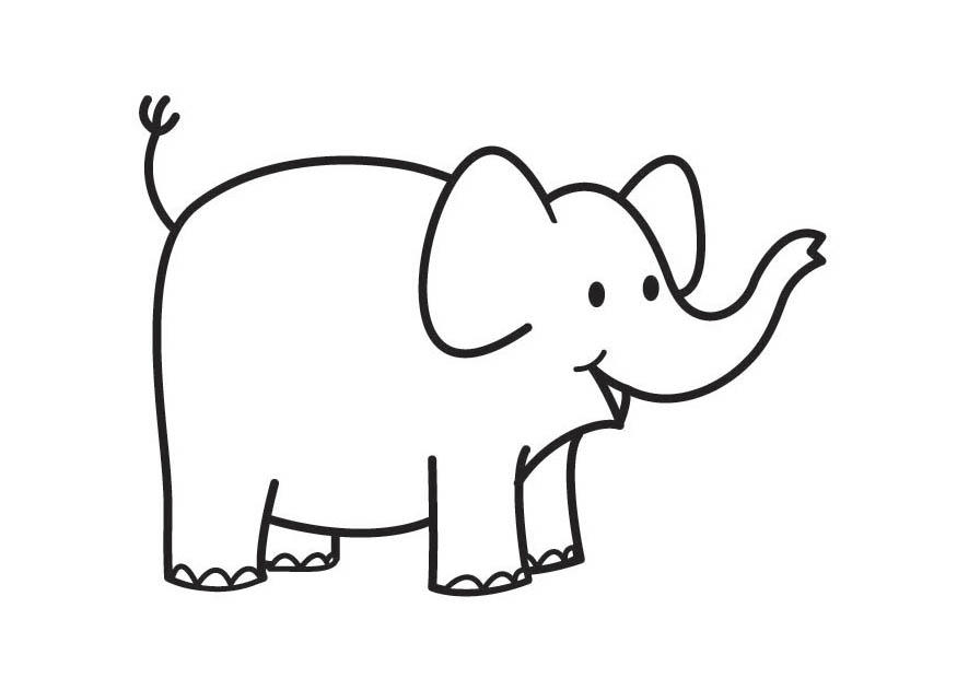 elefante Dibujo para colorear elefante