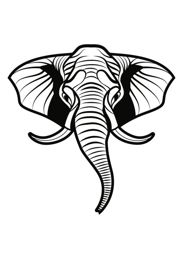 elefante Dibujo para colorear elefante
