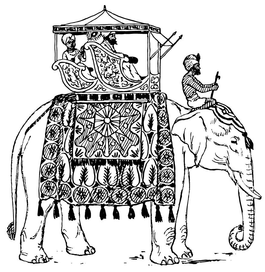 Dibujo para colorear elefante en india
