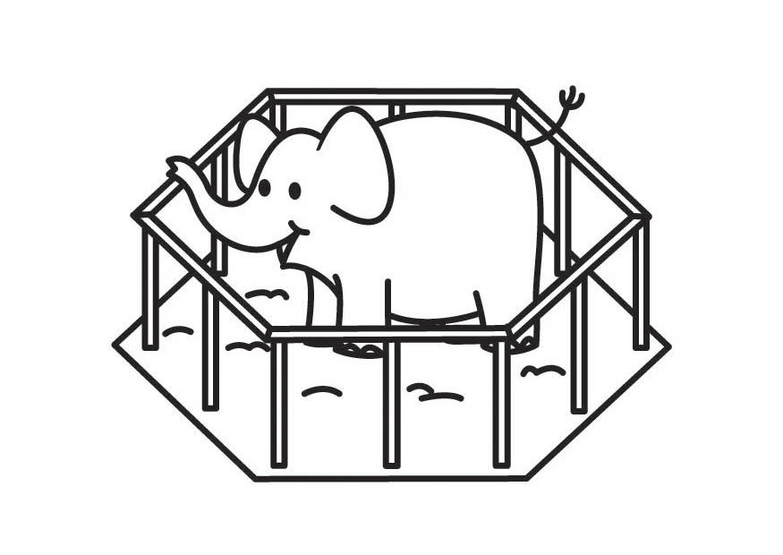 elefante en jaula Dibujo para colorear elefante en jaula