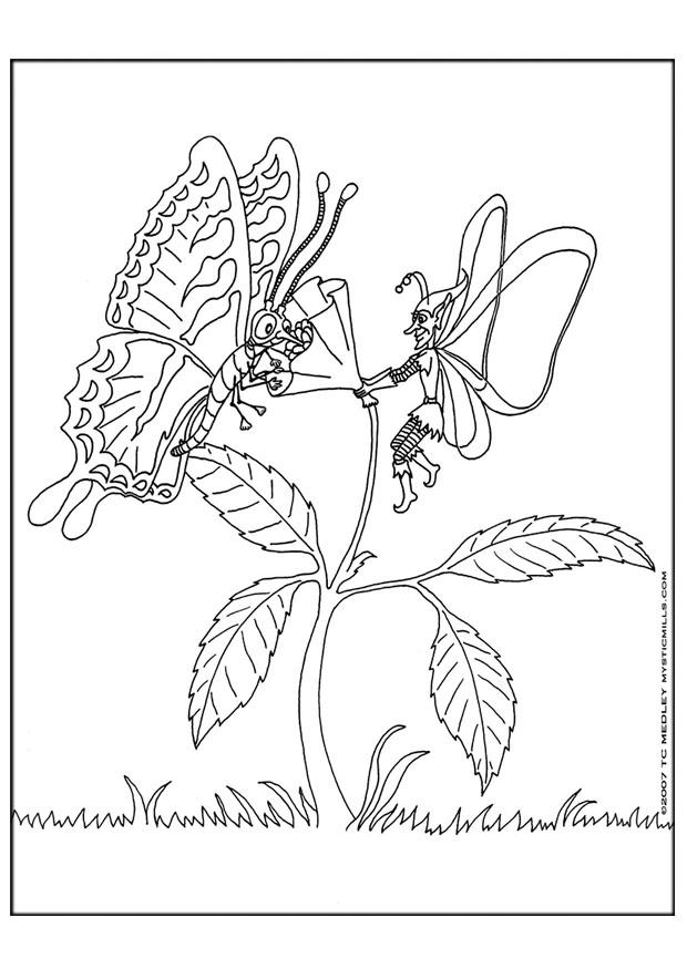Dibujo para colorear elfo con mariposa