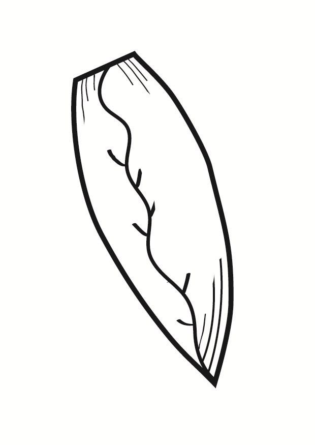 endivia Dibujo para colorear endivia