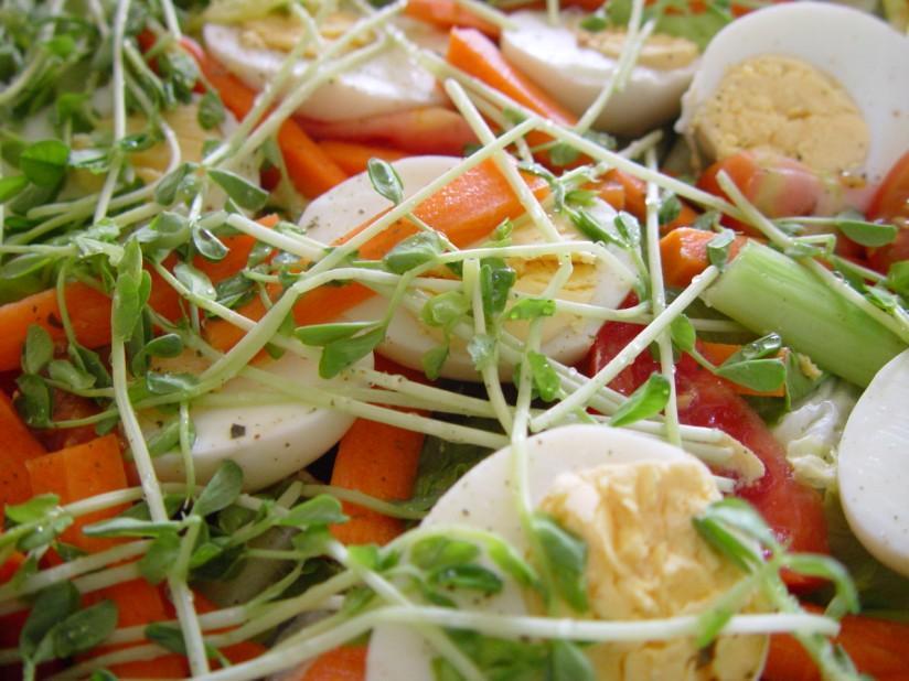 ensalada Foto ensalada