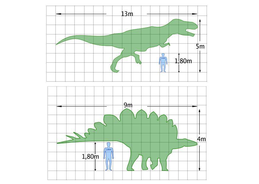 Dibujo para colorear esquema de dinosaurio