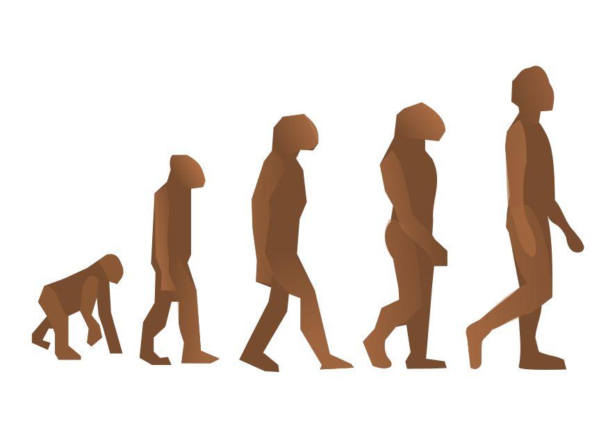 evoluciA³n del hombre Imagen evoluciA³n del hombre
