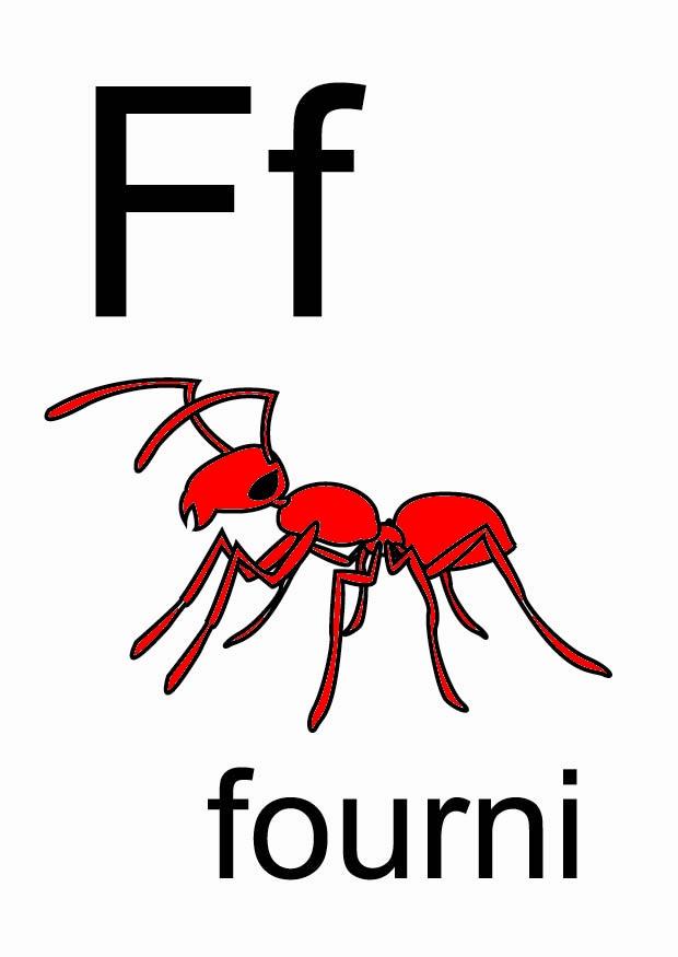 f Imagen f
