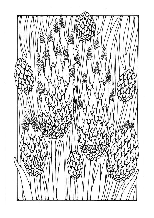 flores Dibujo para colorear flores
