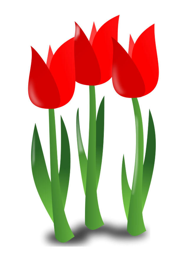 flores Imagen flores