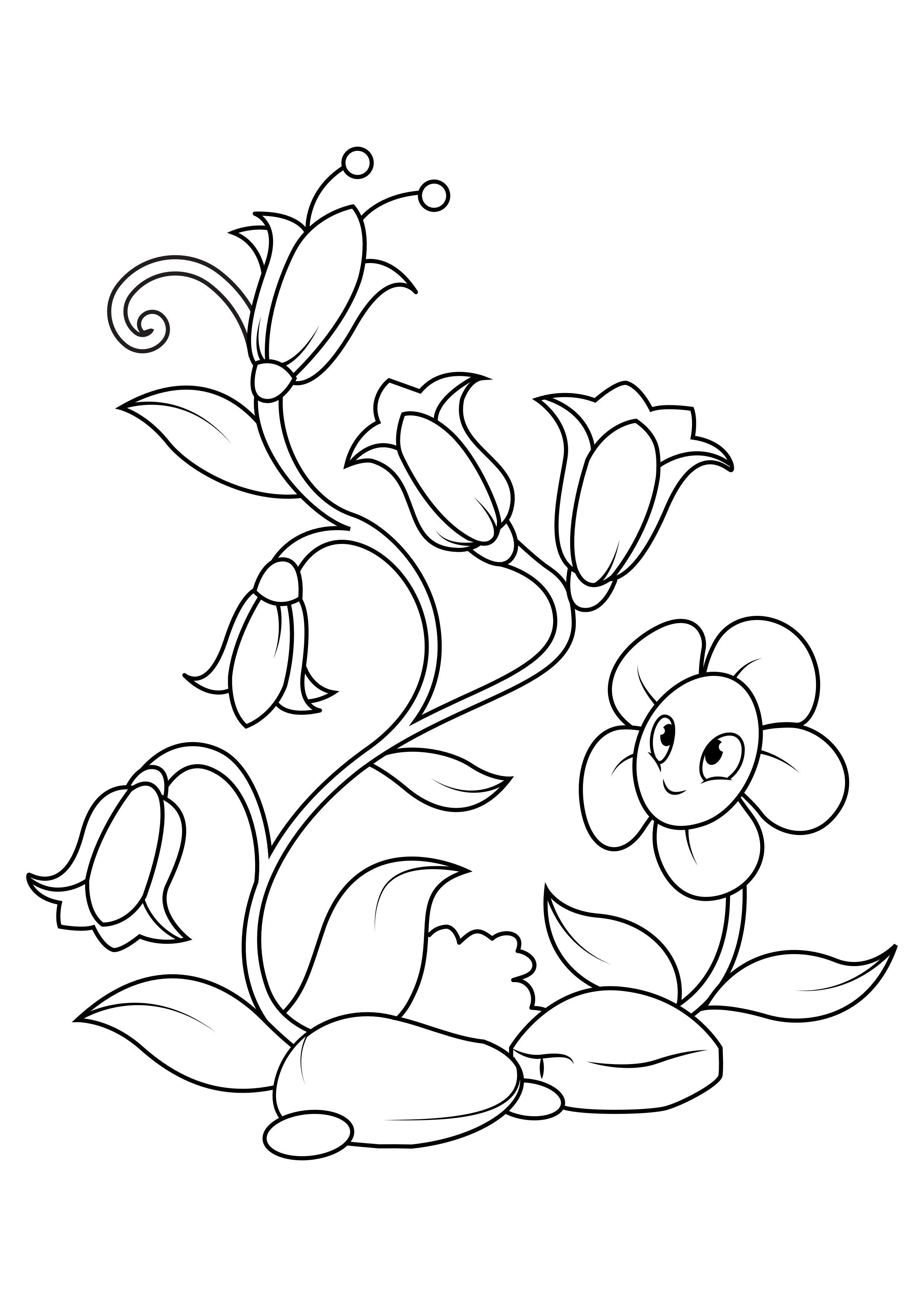 flores Dibujo para colorear flores