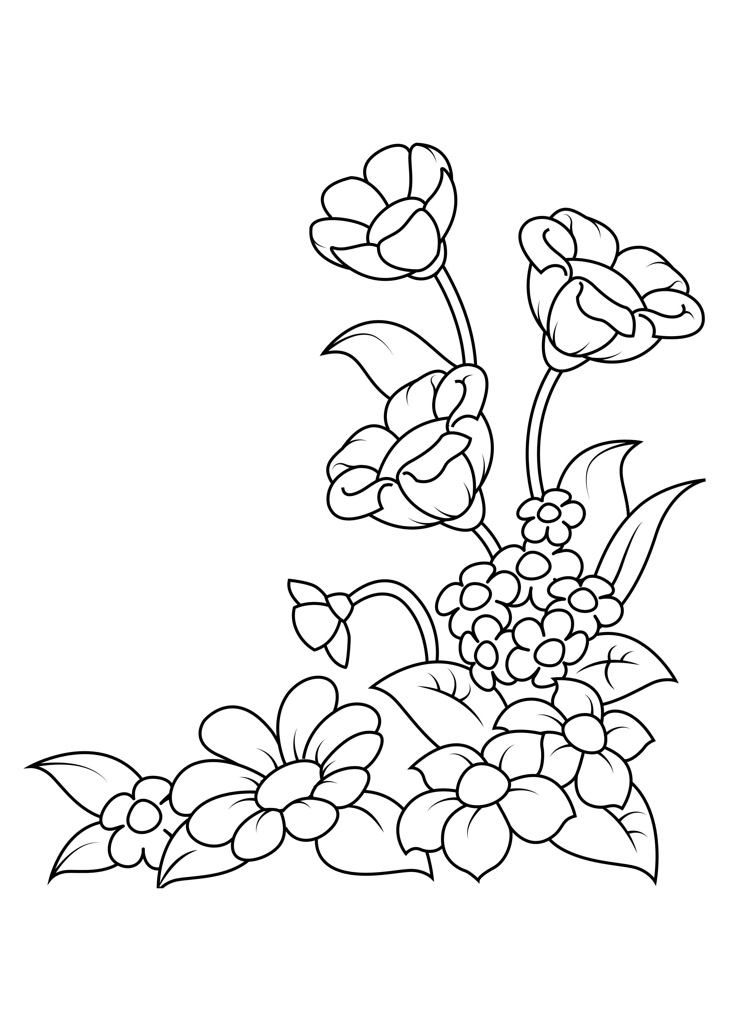 flores Dibujo para colorear flores