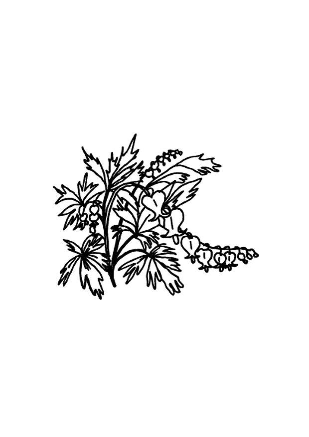 flores Dibujo para colorear flores