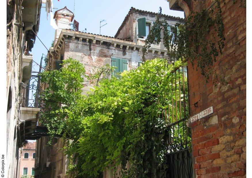 Foto callejA³n de la ciudad