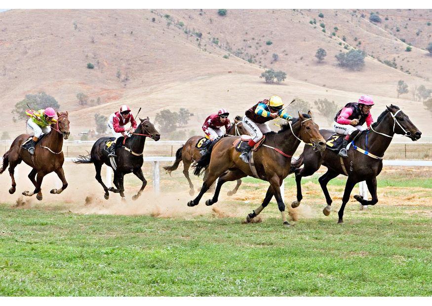 Foto carrera de caballos