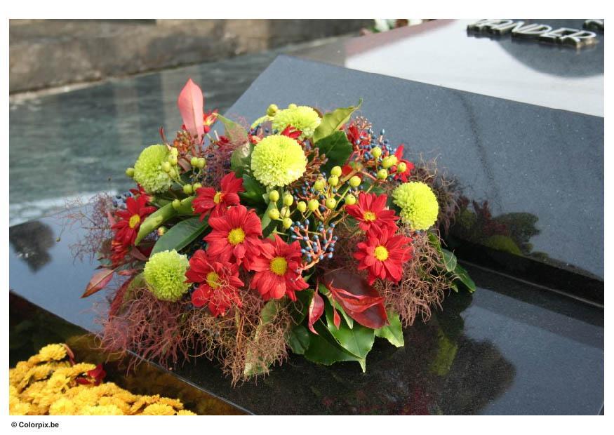 Foto cementerio