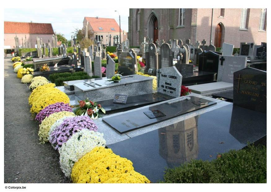 Foto cementerio
