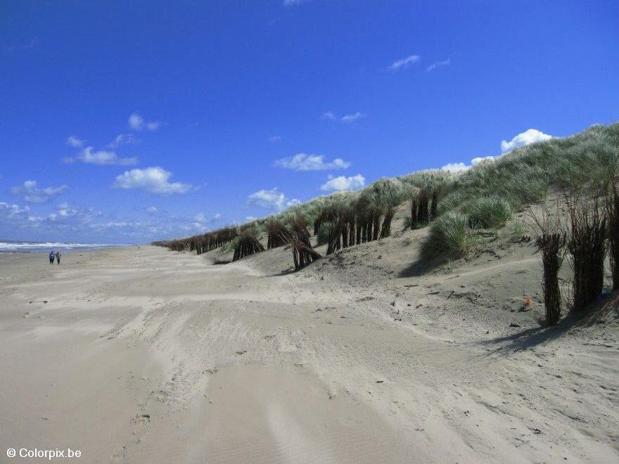 Foto costa-playa-dunas