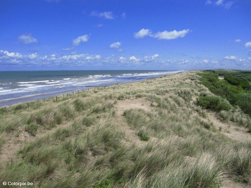 Foto dunas