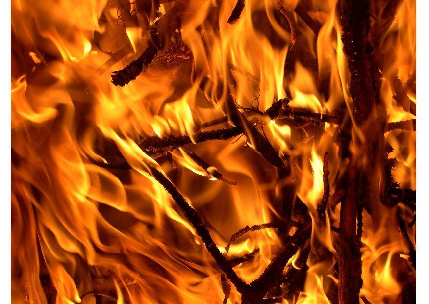 Foto fuego