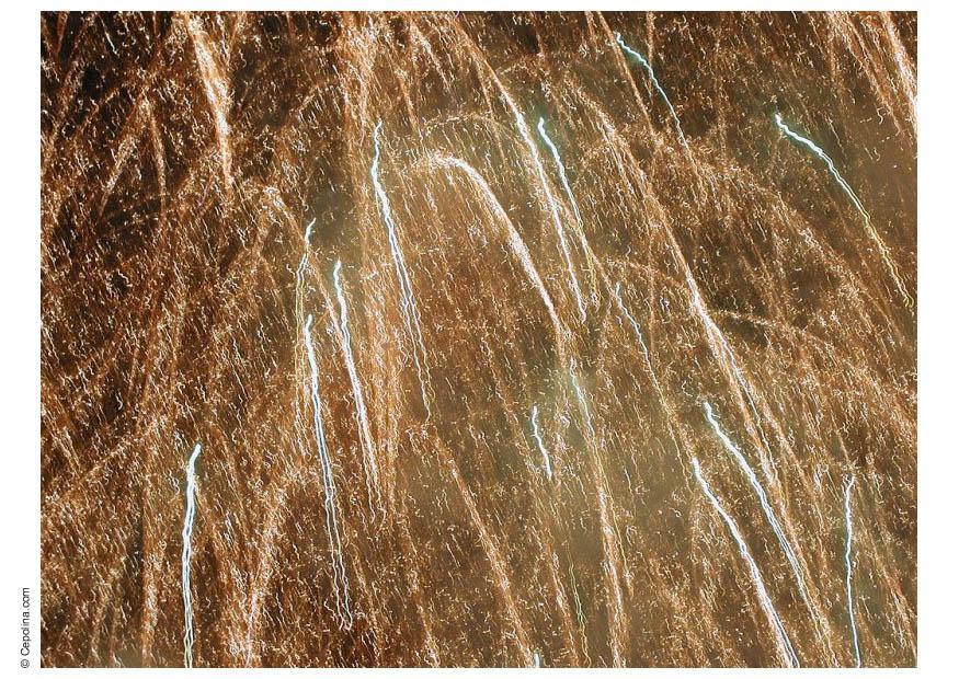 Foto fuegos artificiales