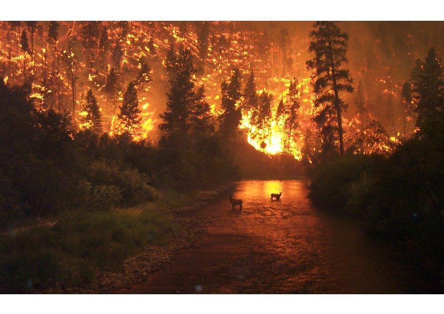 Foto incendio forestal