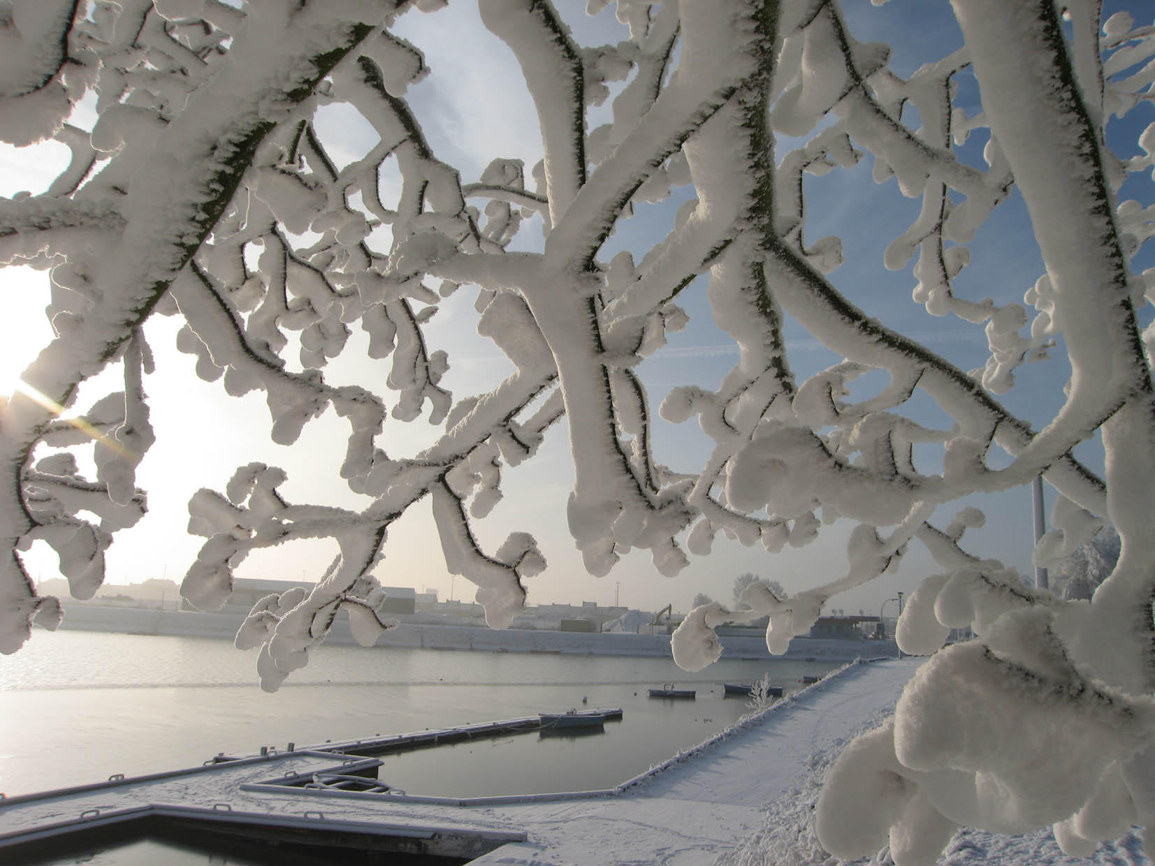 Foto invierno