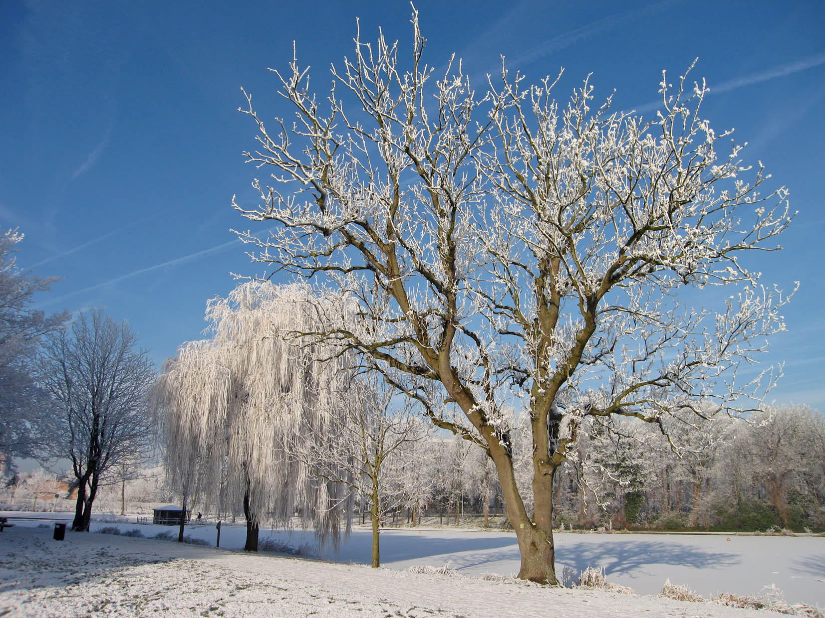 Foto invierno5