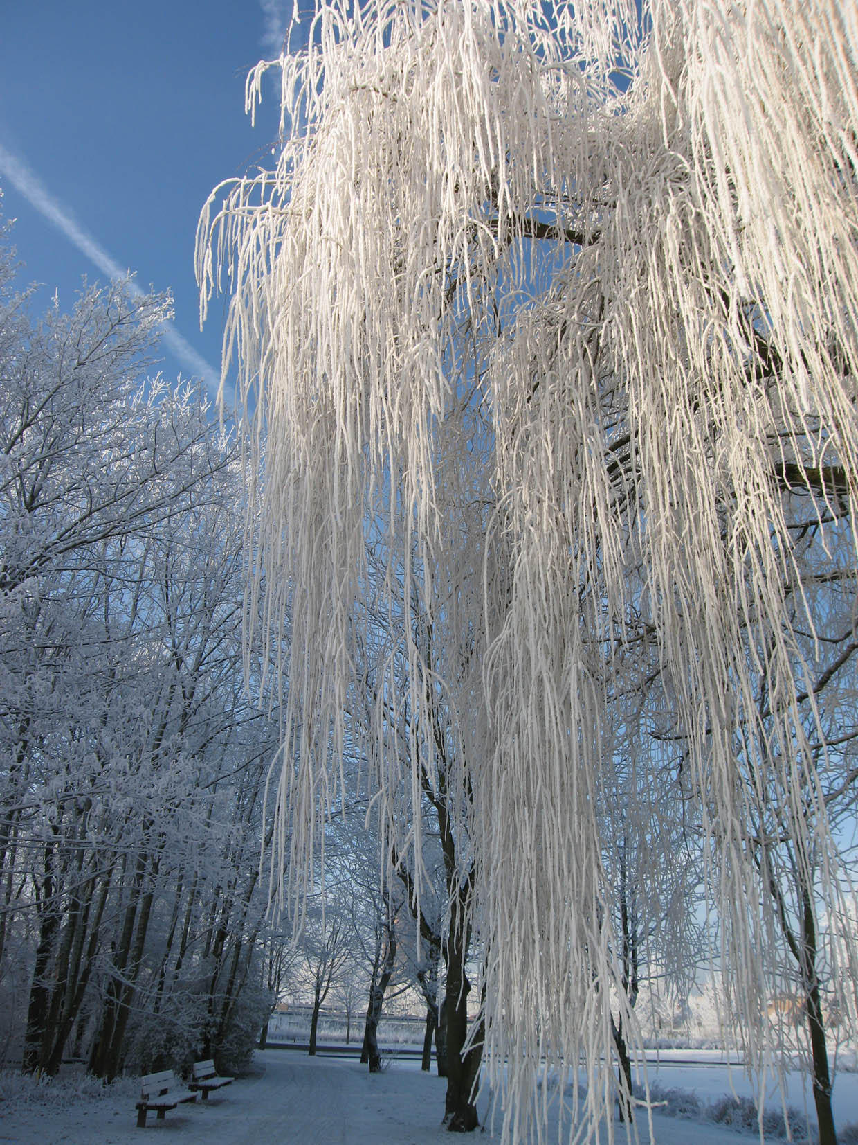 Foto invierno6