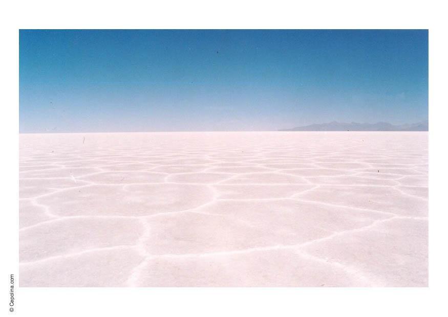 Foto lago salado