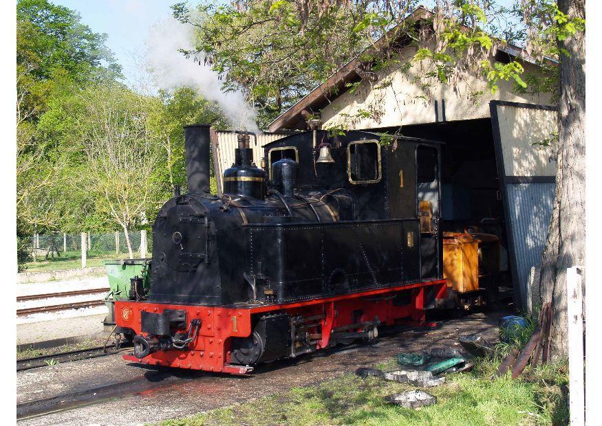 Foto locomotora