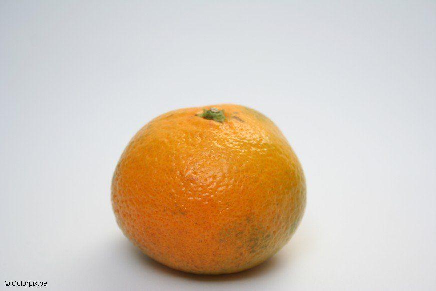 Foto mandarina