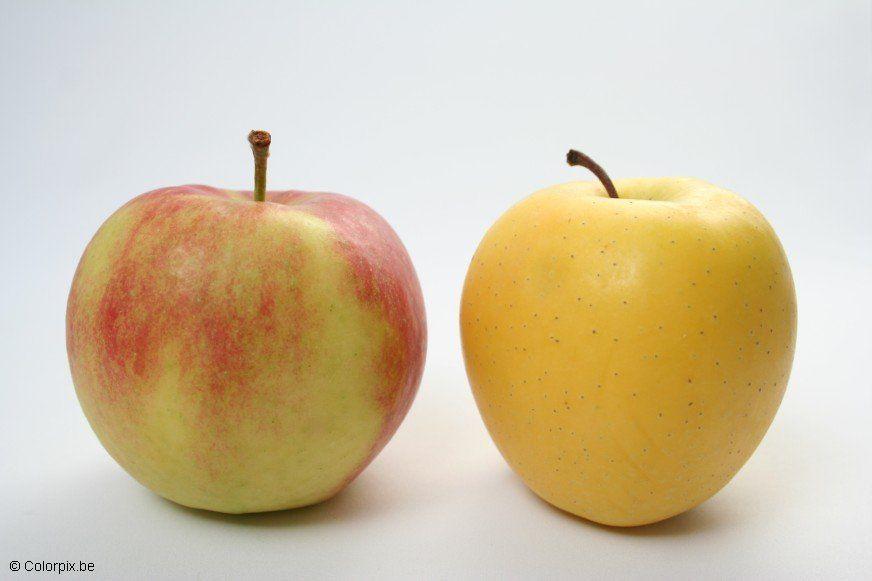 Foto manzanas