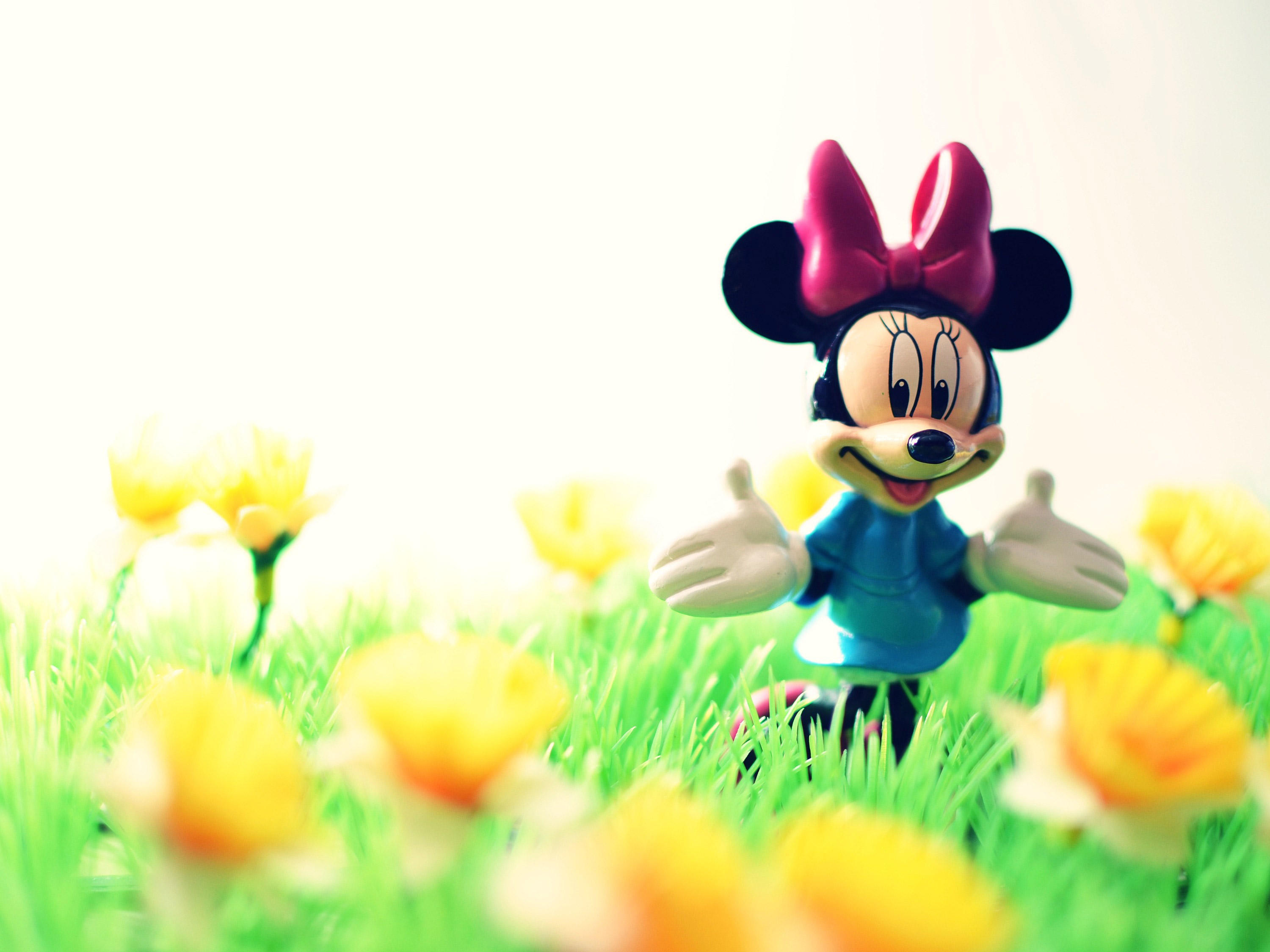 Foto minnie mouse