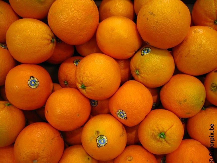 Foto naranjas