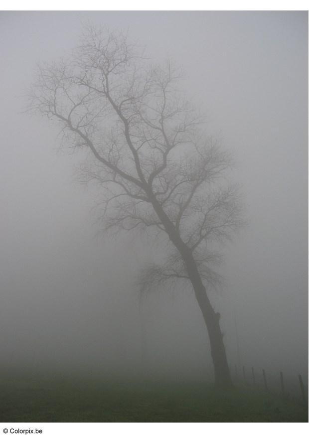 Foto niebla