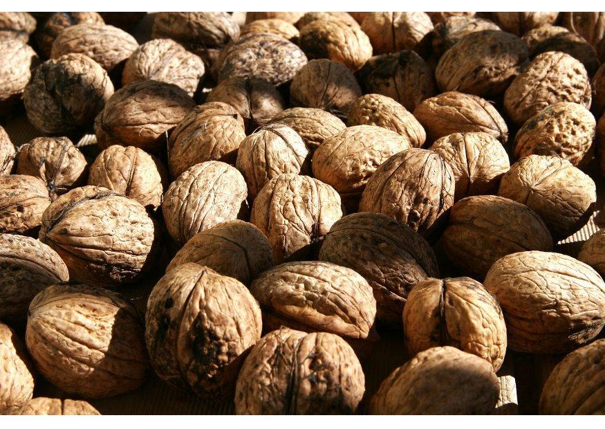 Foto nueces