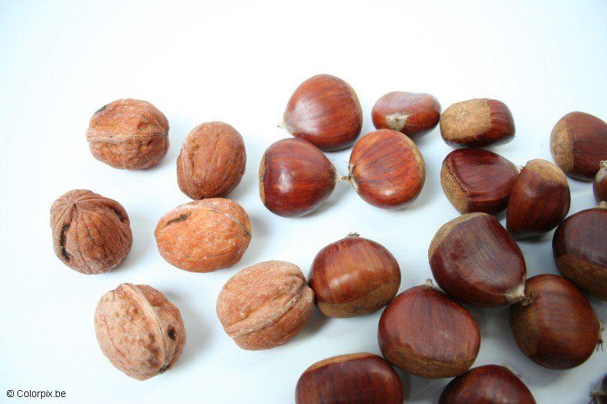 Foto nueces y castanas