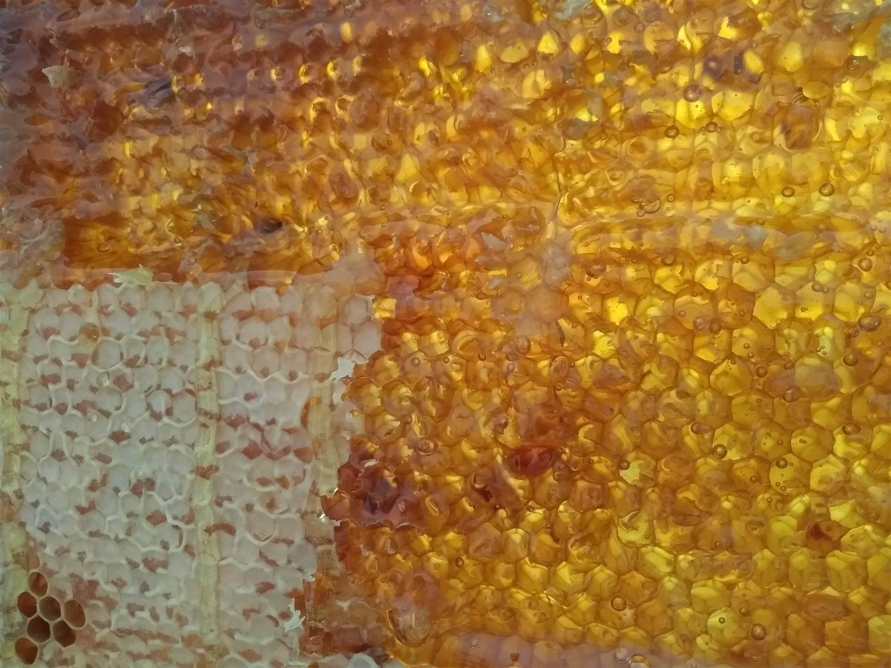 Foto panal